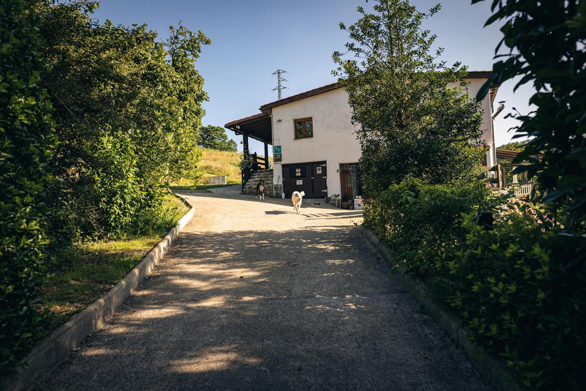 Finca La Naguada Casa Rural En Asturias Beloncio Exterior photo